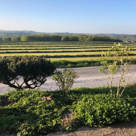 Im Gruenen Apartament